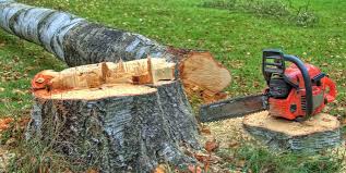 Best Tree Preservation Services  in Richwood, TX