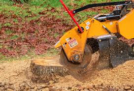 Best Soil Testing and Treatment  in Richwood, TX