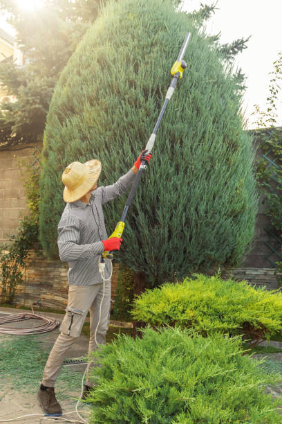 Best Utility Line Clearance  in Richwood, TX